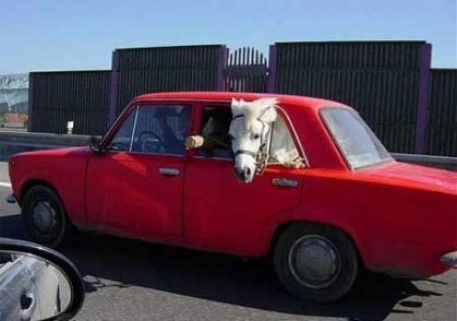 Redneck Horse Trailer